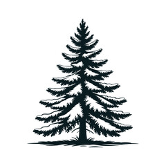 Obraz premium Snow-covered pine tree 