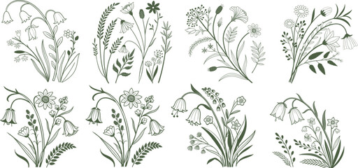 Set of elegant wildflower line art drawings with blossoms, leaves, and stems. Minimal botanical floral illustration in vintage outline style. Vector nature design for cards, posters, patterns, and 