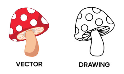 Mushroom vector Illustration and hand drawing – Fungi outline, botanical sketch, forest nature element, edible and wild mushroom design for food and organic concepts