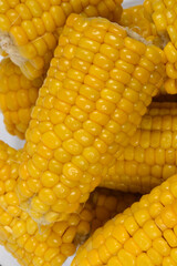 A vibrant close-up shows a pile of freshly cooked corn cobs, highlighting the shiny, bright yellow kernels
