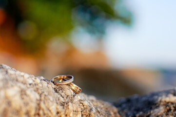 Close-up of two gold wedding rings resting on bark, with a colorful and vibrant blurred background, symbolizing love and eternal commitment in a natural setting.