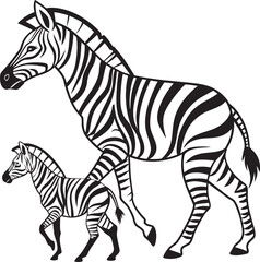 Zebra and its baby on white background Vector illustration.
