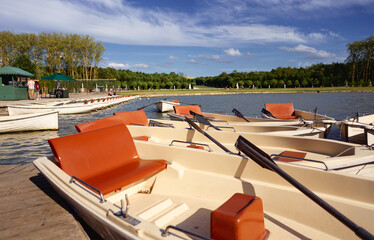 A group of white rowboats with red seats docked near a picturesque lake surrounded by lush greenery. The sunny day highlights the peaceful atmosphere of the scenic outdoor setting.