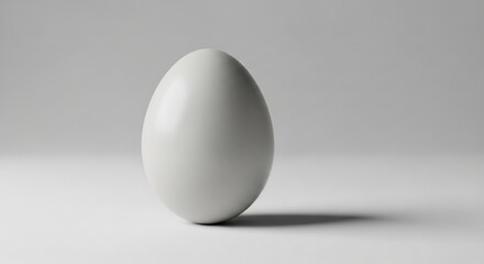 A Single Plain White Egg Standing Vertically with a Soft Shadow on a Clean White Surface Under a Gentle Light Source