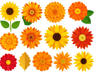Autumn Flower Clipart