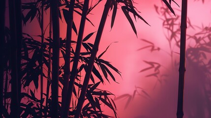 Tranquil bamboo grove with a serene pink backdrop creating a peaceful atmosphere