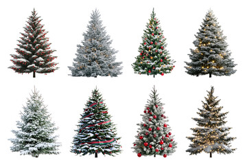 Fototapeta premium PNG Festive snowy Christmas trees variety, element set on transparent background