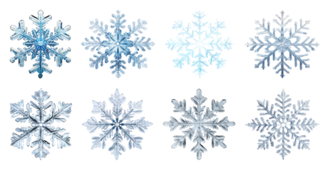 PNG Intricate icy snowflake designs, element set on transparent background