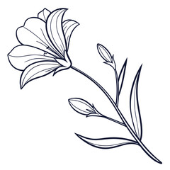 Elegant lily flower illustration