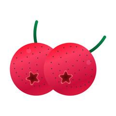 Two bright red berries with green stems and star shaped calyxes against a black background