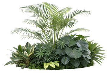Photo of a lush arrangement of tropical green plants, including palms and ferns, isolated on transparent background