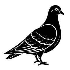 vector illustration of a bird