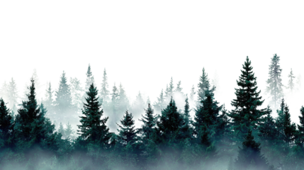 A dense spruce forest band with layered depth and misty midline in cool emerald tones, isolated on transparent background.
