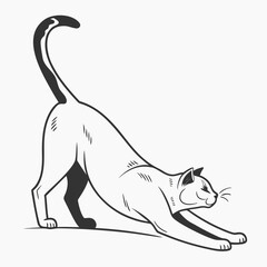 A cat stretches its body, , in a yoga pose