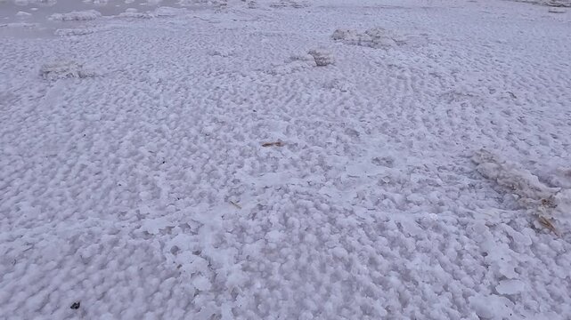 Self-precipitating table salt Sodium chloride at the bottom of a dried-up estuary