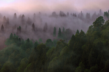 Fog rolling over forested mountains at dawn, Camlihemsin, Rize – Kackar / Black Sea, Turkey