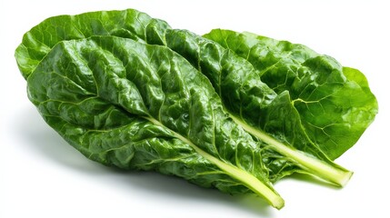 Fresh green swiss chard leaves isolated on white background