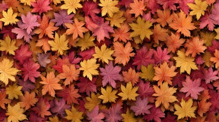 Autumn leaves on border with copy space. Autumn sale banner with space for text.