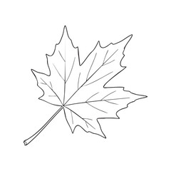 Black and white maple leaf outline