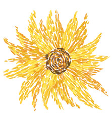 Sunflower impressionist style painting illustration