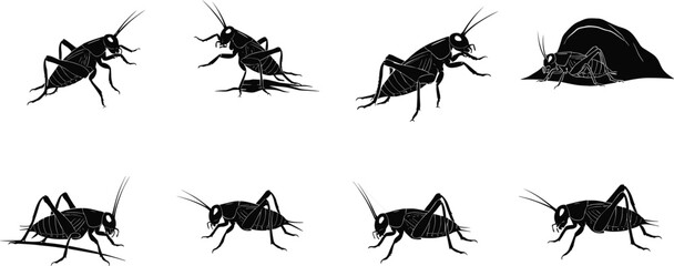 Cricket silhouette vector set with multiple poses, insect anatomy, natural habitat, and pest control theme for educational and design use.
