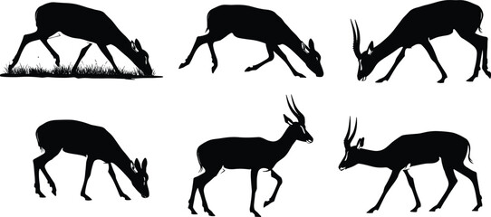 Antelope silhouette vector set with grazing, walking, standing poses for wildlife illustration, nature-themed design, and educational animal anatomy use.