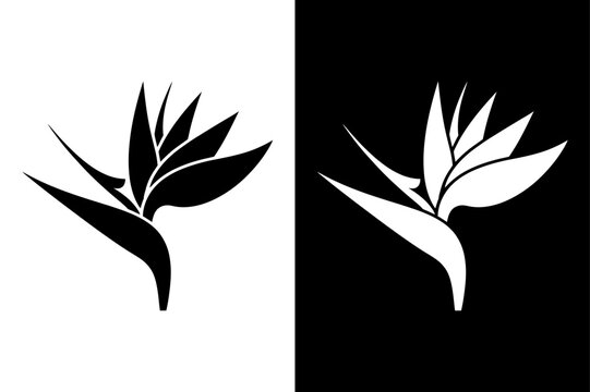 black and white beautiful Bird of paradise flower icon Silhouette vector style
