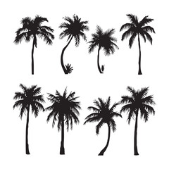 Palm tree silhouettes set &ndash; black palm tree shapes collection, isolated vector on white background.