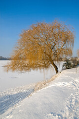 hiver, Lacs de Viry Chatillon et Grigny, Lacs revivifiés et sites naturels protégés, 91, Essonne, France