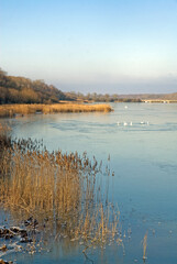 hiver, &Eacute;tang de Saint Hubert, &eacute;tangs de Hollande, Parc naturel r&eacute;gional de la Haute Vall&eacute;e de Chevreuse, Br&eacute;viaires, 78, Yvelines, France