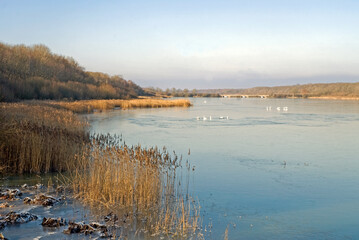 hiver, Étang de Saint Hubert, étangs de Hollande, Parc naturel régional de la Haute Vallée de Chevreuse, Bréviaires, 78, Yvelines, France