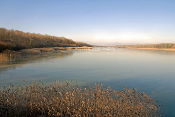 hiver, Étang de Saint Hubert, étangs de Hollande, Parc naturel régional de la Haute Vallée de Chevreuse, Bréviaires, 78, Yvelines, France