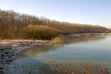 hiver, Étang de Saint Hubert, étangs de Hollande, Parc naturel régional de la Haute Vallée de Chevreuse, Bréviaires, 78, Yvelines, France