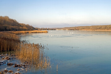 hiver, Étang de Saint Hubert, étangs de Hollande, Parc naturel régional de la Haute Vallée de Chevreuse, Bréviaires, 78, Yvelines, France