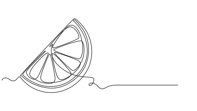 Self drawing simple animation of single continuous one line drawing of citrus fruit Lemon. Full length one line animation, fruit lemon and slice. Self drawing animation one continuous line draw, logo