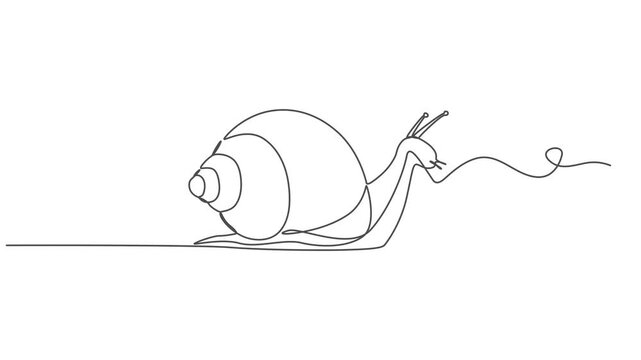 Self drawing line animation woman drawing exotic snail mascot escargot healthy food continuous one single line drawn concept video, Self drawing line animation woman drawing exotic snail mascot