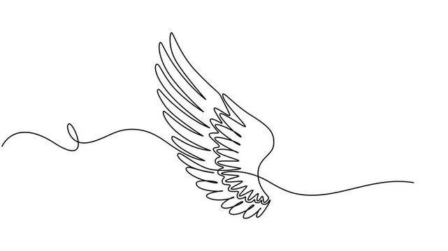 birds wing continuous one line drawing animation, Animated self drawing of single continuous line draw cute angel wings holiday romantic decoration logo vector image. Swirl curl circle background