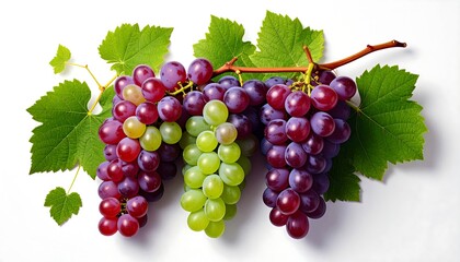 Obraz premium Three Bunches of Grapes - Red, Green, and Purple Varieties.