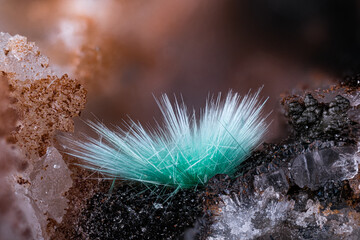 Agardite-La. Specimen from Clara Mine, Oberwolfach, Germany. Micro photography extreme close-up. microscope mineral crystal photography for Scientific use.