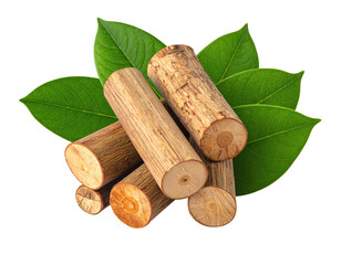 Stacked light brown wooden logs surrounded by vibrant green leaves