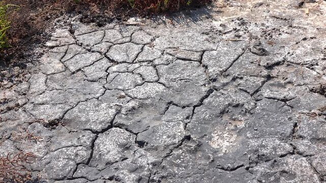 Kuialnyk Estuary, dry cracked silt soil on a dried-up shore in a hypersaline reservoir in dry summer