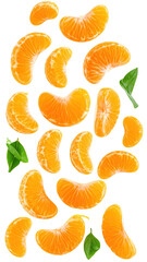 Vertical arrangement of sliced tangerines,  with leaves