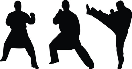 Martial arts silhouette, karate pose, taekwondo kick, self defense training, black figure, combat stance, isolated white background, action movement