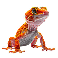 Close-up of a vibrant orange gecko.  It's alert, facing upward.  Detailed scales and features are visible