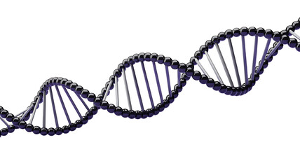 Compelling DNA strand visualization for scientific research, medical illustration, and genetics education. Elegant modern design for science projects and presentations