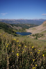 Landscape and Mountains