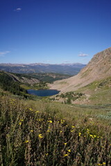 Landscape and Mountains