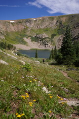 Landscape and Mountains