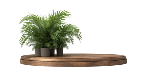 Wooden podium with potted palm plants isolated on a transparent background