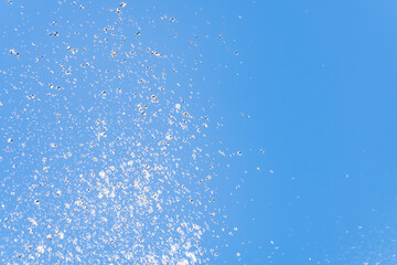 Mammoth Hot Springs, Yellowstone National Park , Wyoming. Hydrothermal System. calcium-carbonate waters. Terrace